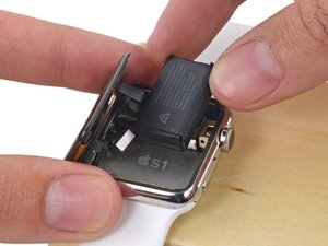 Step 19 - Image 2